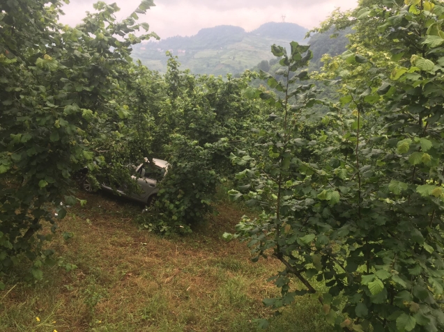 Yaklaşık 40 metreden tarlaya uçtu…