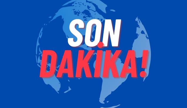 Çalıların ardındakini ayı sandı... Tüfeğini ateşledi...