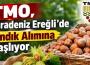 Yalman açıkladı.... TMO fındık alımına başladı...