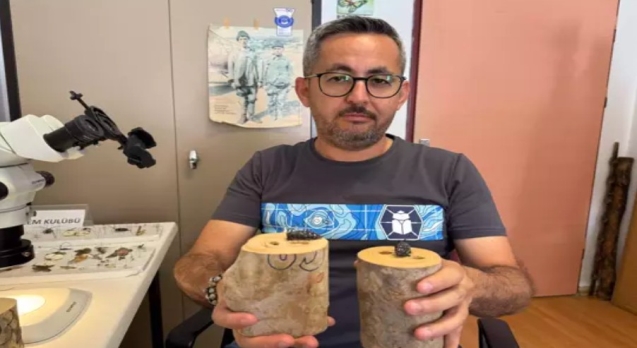 Dedektör köpekler, zararlı böcekleri tespit edecek...