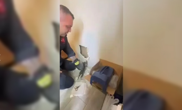 Duvarın içinde sıkışan 2 yavru kediyi itfaiye kurtardı...