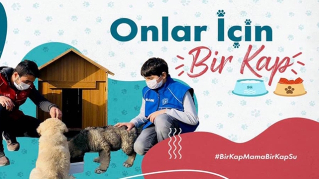 Başkan Demirtaş: "Bir kap mama bir kap su bırakmayı unutma"