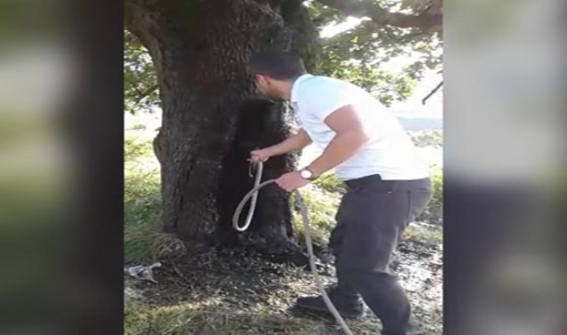 Piknikçiler yangın çıkarttı!..