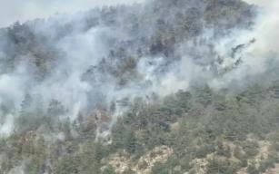 Alevler hızla yayıldı... 