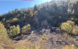 Yangın 55 hektarlık ormana zarar verdi...