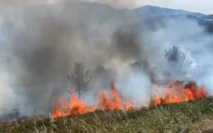 Aydınlar köyü alevlere teslim… Köylü seferber oldu…