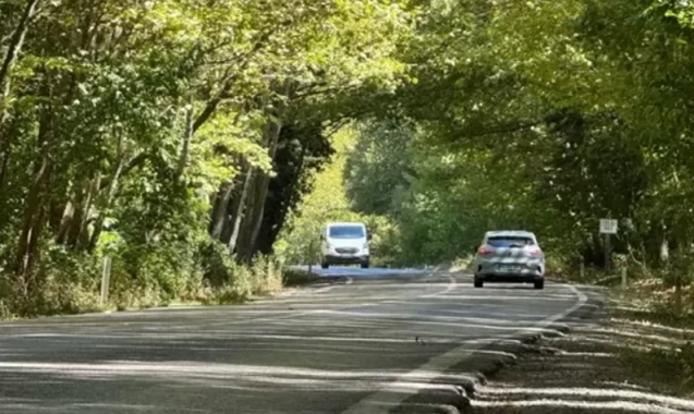 Ağaçlı tünel yolu hayran bırakıyor...