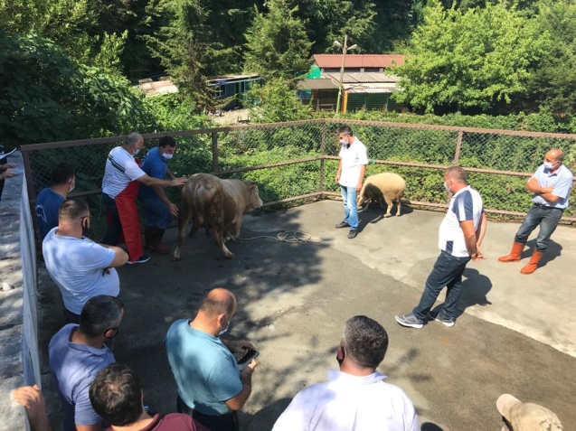 KURBAN KESİM EĞİTİMİ VERİLDİ...
