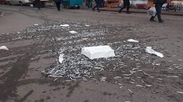 Zabıtalarla tartıştı... balıkları fırlattı...