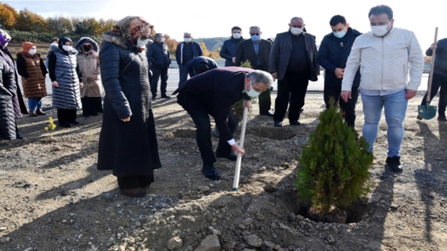 Bozkurt fidan dikimi etkinliği gerçekleştirdi...