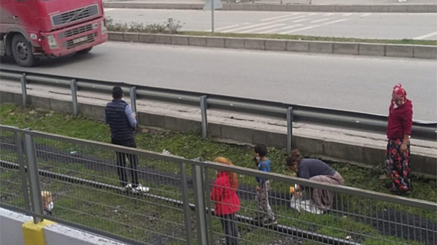 Birbirleriyle yarıştılar...