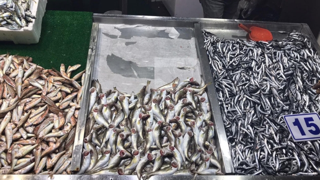 Hamsi bolluğu yaşanıyor fiyatlar düştü...