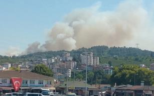 Alaplı alevlere teslim... Yangın hızla büyüyor...