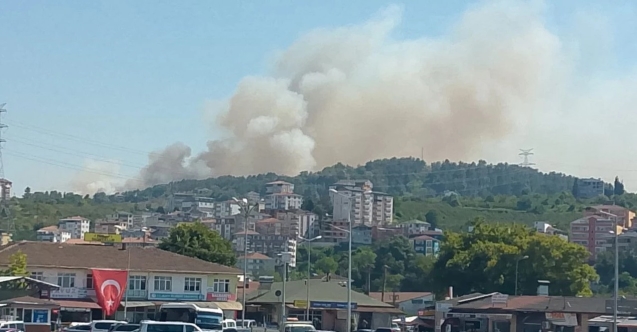 Alaplı alevlere teslim... Yangın hızla büyüyor...