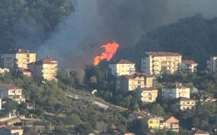 Alaplı ve köyleri derken şimdi de Topçalı...