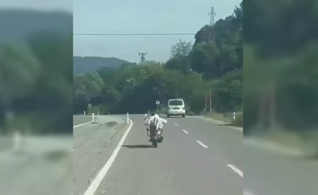 Yüzüstü uzanarak motosiklet kullandı... Ceza kesildi...