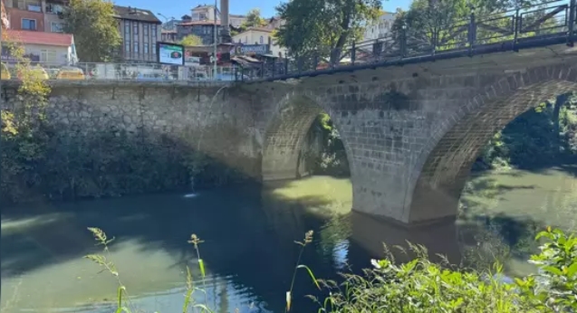 Balık ölümleri, tedirginliğe yol açtı...