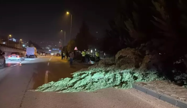 Önce aydınlatma direğine, sonra ağaçlara çarptı...