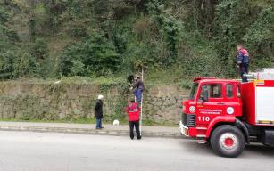 Ormanlık alanda mahsur kaldı…