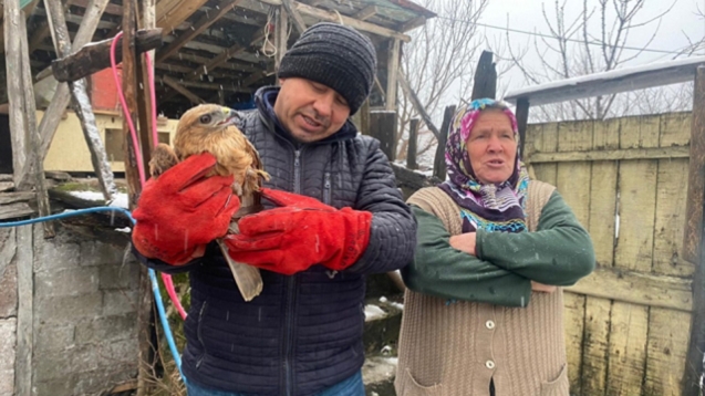 Mahallede buldukları şahin için seferber oldular...