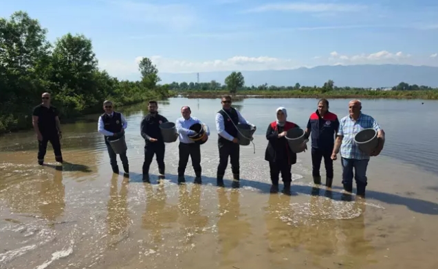 İlk tohumlar atıldı... Çeltik ekimi başladı...