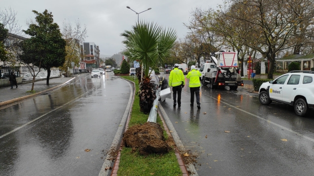 Şiddetli fırtına aydınlatma direğini yıktı.