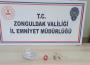 Uyuşturucu taciri tutuklandı...