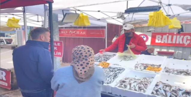 Hamsinin fiyatı gelen balık miktarına göre değişiyor...