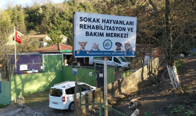 4 Ekim dünya hayvanları koruma günü…