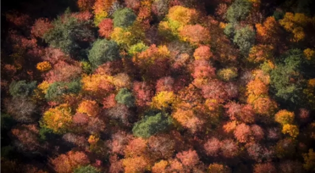 Sonbahar güzelliği kameralara yansıdı… Gözleri kamaştırdı!