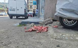 Kurban atıkları sokak ortasına bırakıldı...