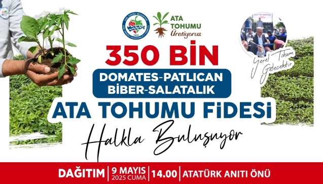 350 bin ata tohumu fidesi dağıtılacak...