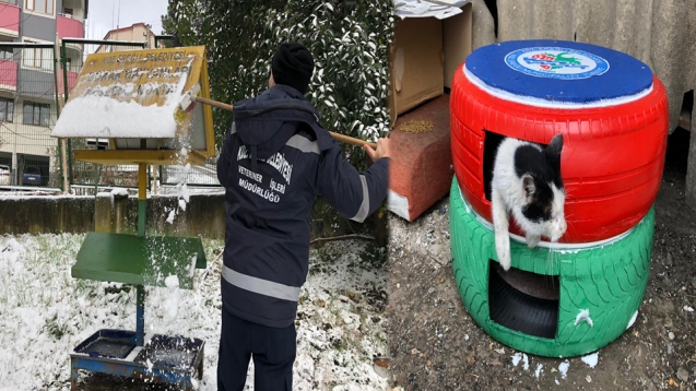 SOKAK HAYVANLARI UNUTULMADI...